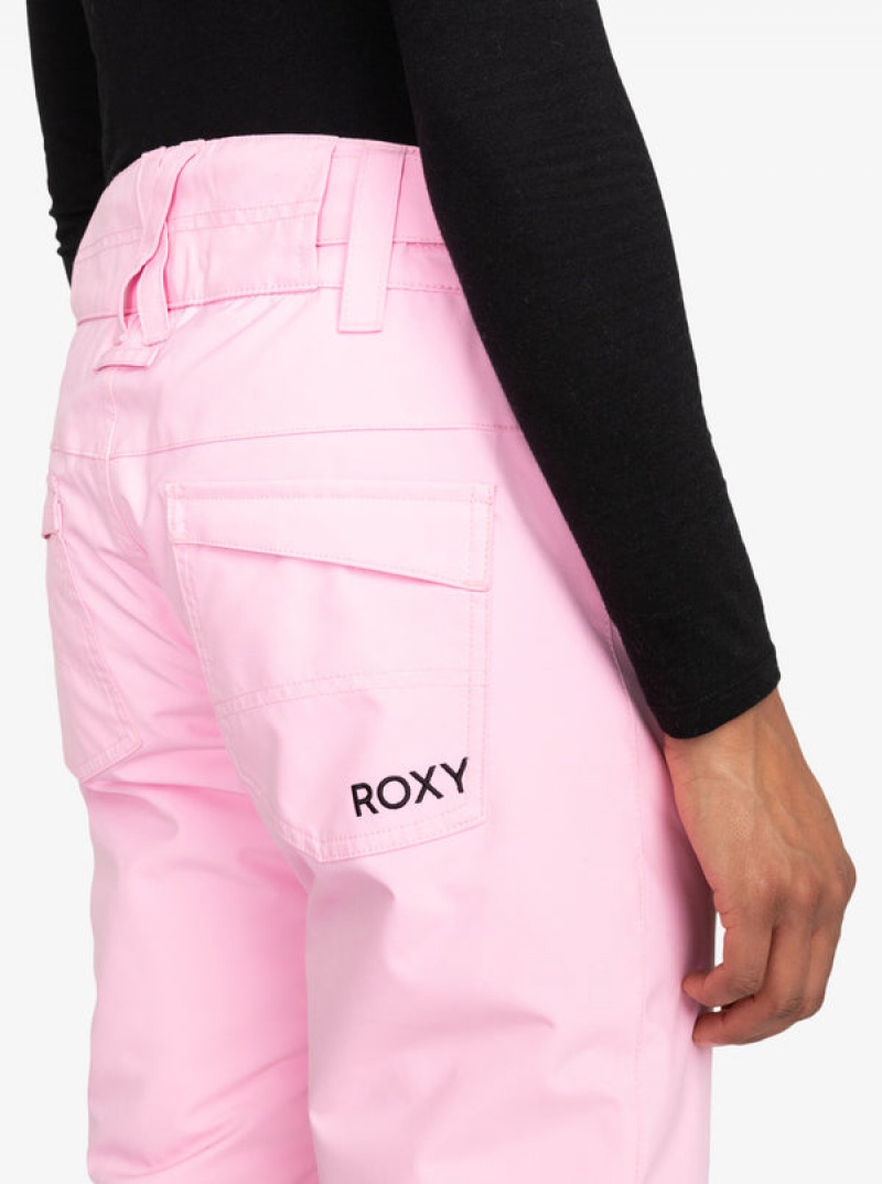 Roxy Backyard Technical παντελονι Snowboard | 5017MVBDG