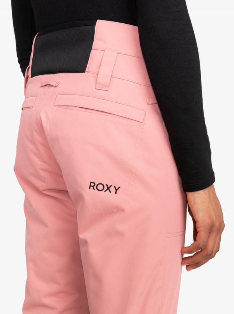 Roxy Diversion Technical παντελονι Snowboard | 7965DZEAG