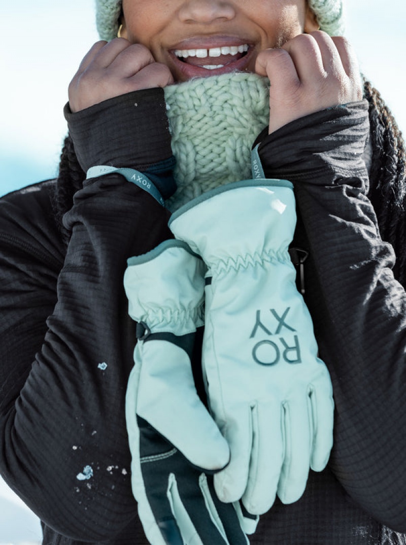 Roxy Freshfield Technicalboard/Ski Γαντια | 7216NBVOR