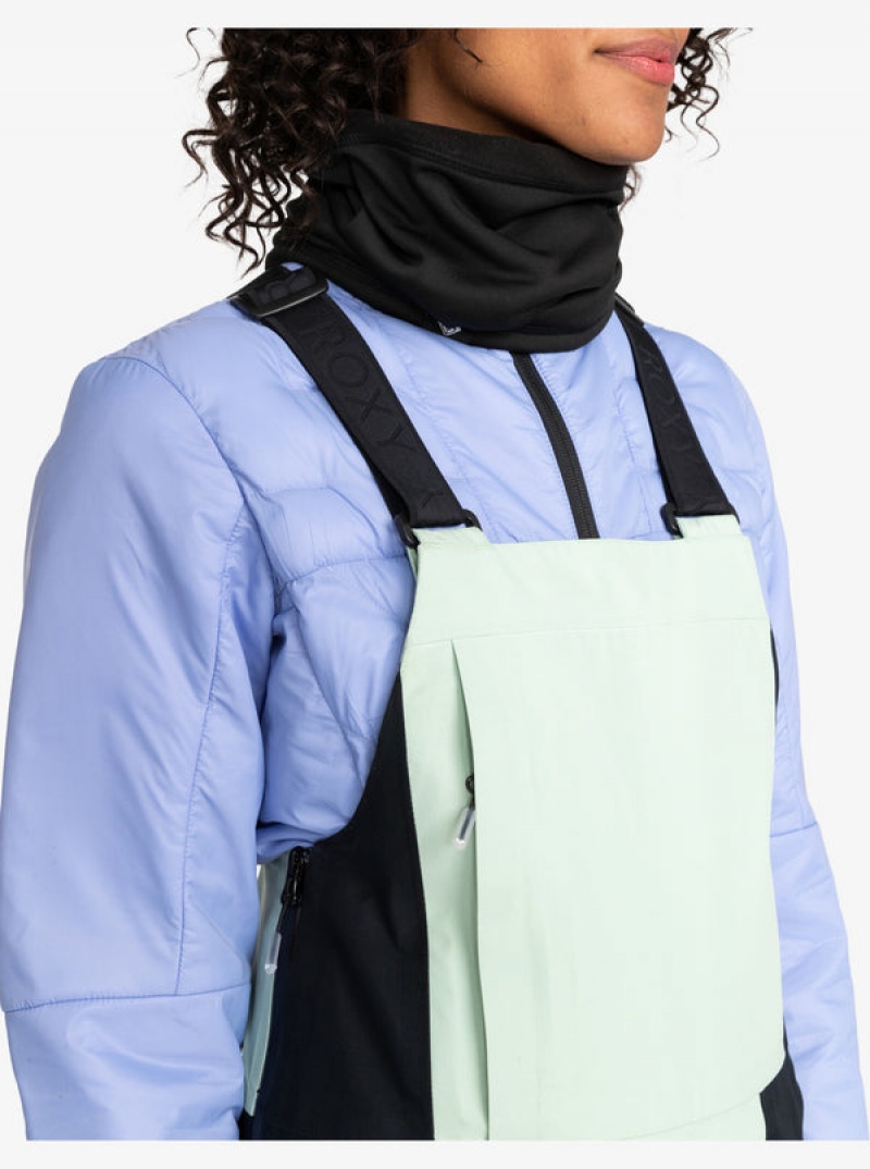 Roxy GORE-TEX® Lunalite 3L Technical Bib παντελονι Snowboard | 7612VXEQT