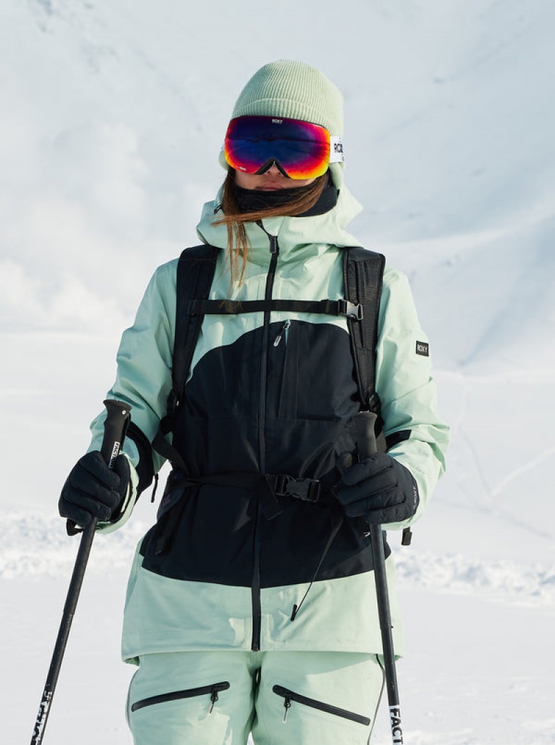 Roxy Gore-Tex® Lunalite 3L Technical μπουφαν Snowboard | 6928XVQNG