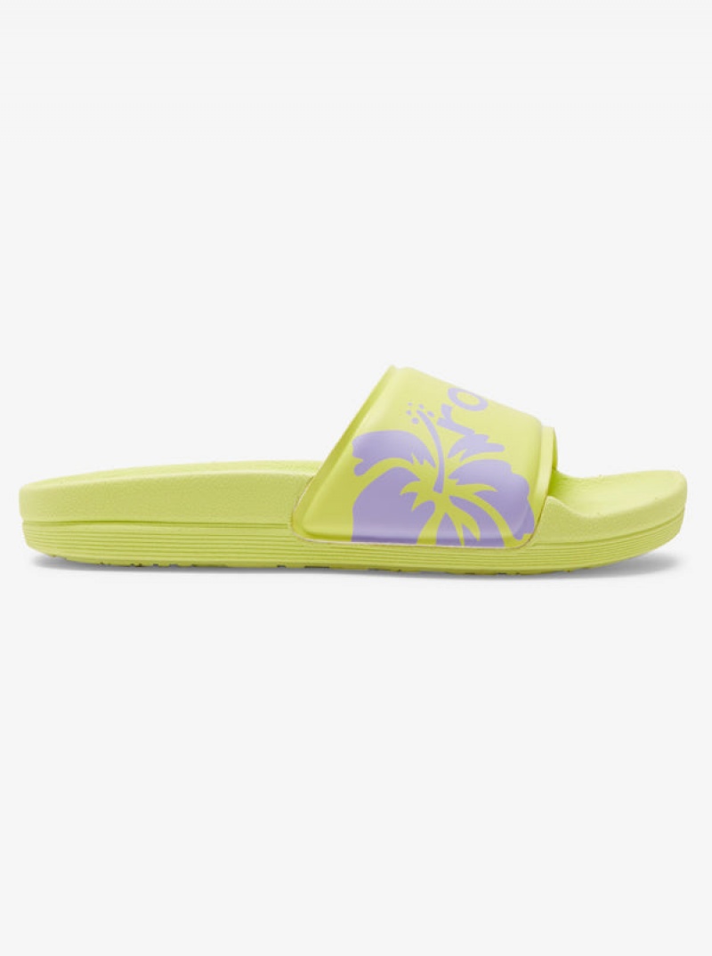 Roxy Surf.Kind.Kate. Slippy Σανδαλια | 7358GDNHB