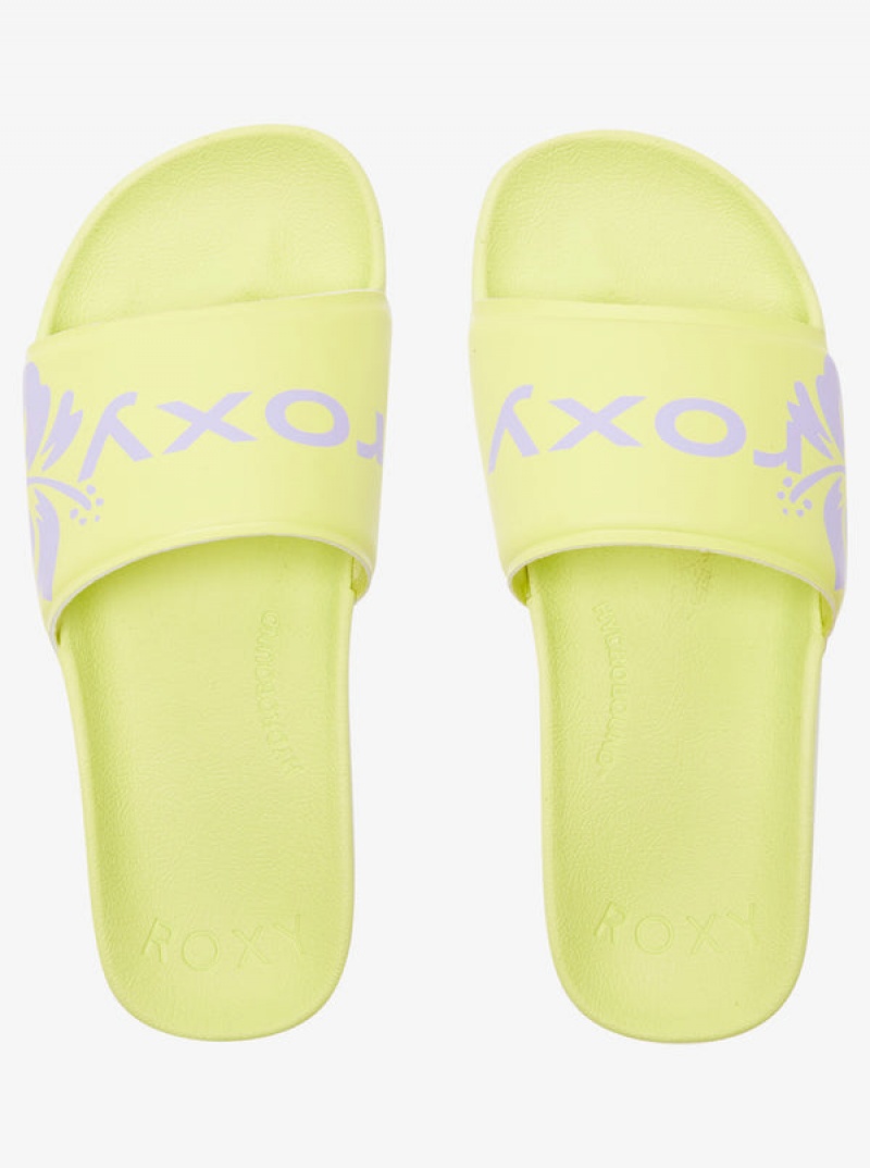 Roxy Surf.Kind.Kate. Slippy Σανδαλια | 7358GDNHB