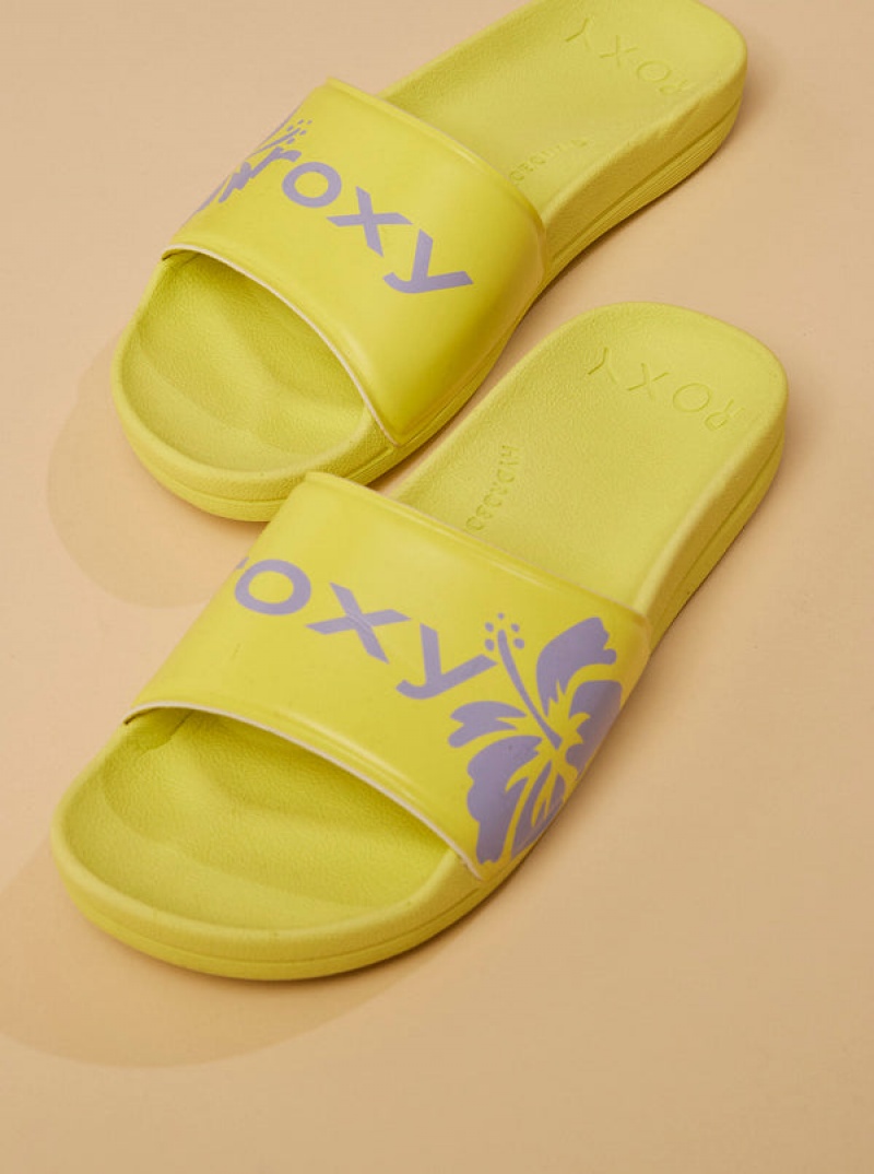 Roxy Surf.Kind.Kate. Slippy Σανδαλια | 7358GDNHB